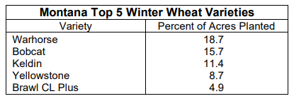 Winter Wheat Numbers