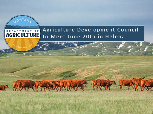 red angus cattle in green pasture with text overlay announcement
