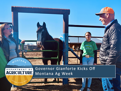 Governor Gianforte visiting with Silver Bow County 4-H members in Butte, Montana 