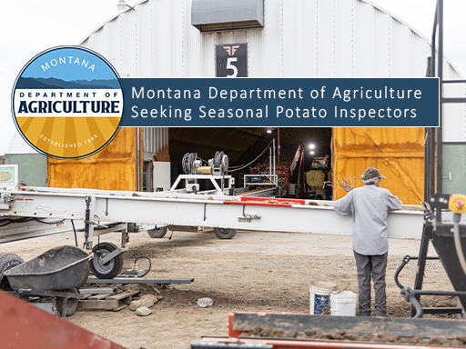 Potatoes coming off sorting line at Foth Farms with text overlay announcement