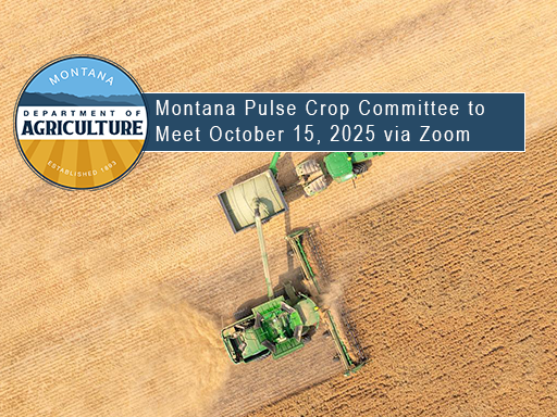 Green combine in field harvesting chick peas with text overlay announcement