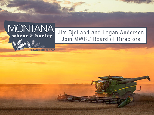 Green harvester at sunset in field with text overlay announcement