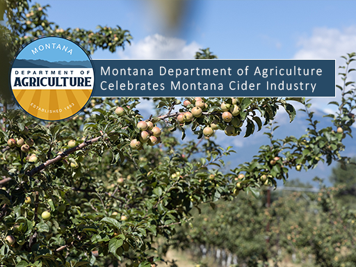 Director Clark hears from Western Cider Co-Founder, Michael Billingsly, at their orchard in Stevensville, Montana