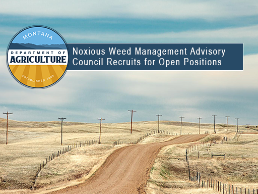 rural dirt road fading into a dormant field with text overlay announcement