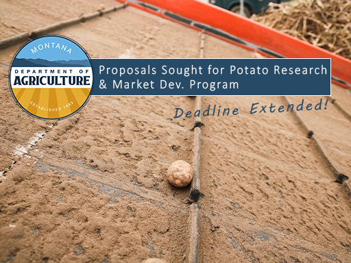 Montana seed potato on assembly line with text overlay announcement