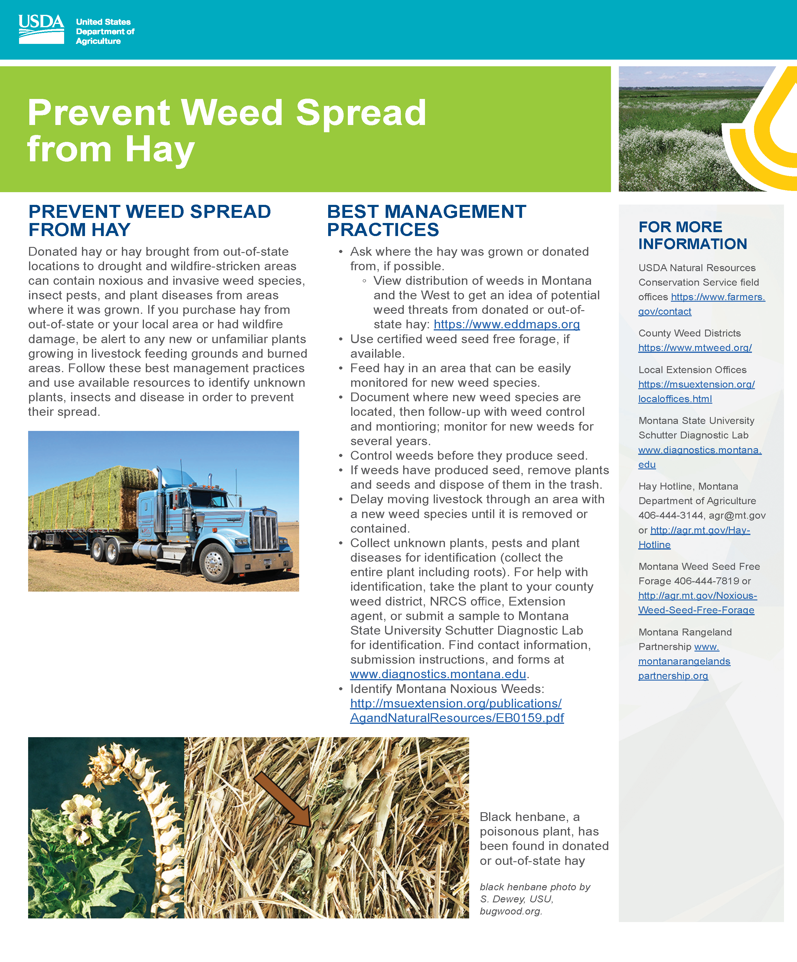 Prevent Weed Spread from Hay Factsheet 2021
