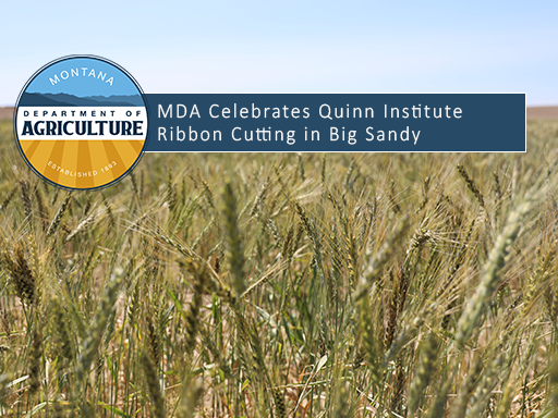 macro photo of wheat in field with text overlay announcement