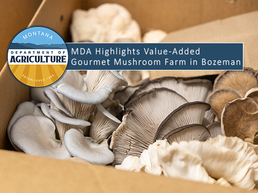 A box of mushrooms for shipment with text overlay announcement