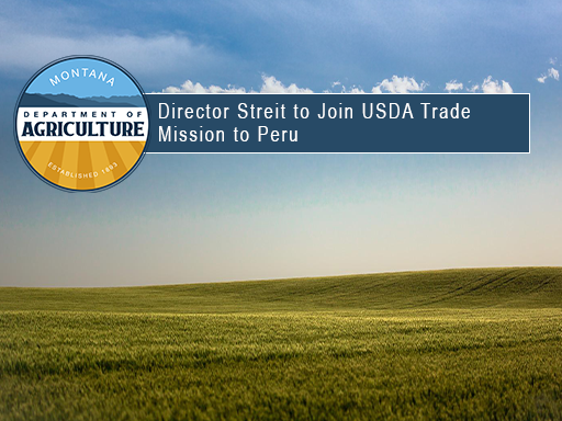 Field of wheat with sunset backdrop with text overlay announcement