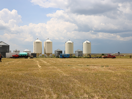 Grain Silos in field at Tiber Ridge Organics Farm