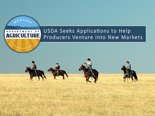 USDA Seeks Applications To Help Farmers And Ranchers Venture Into New   USDA Seeks Apps For New Markets Jan 2024 