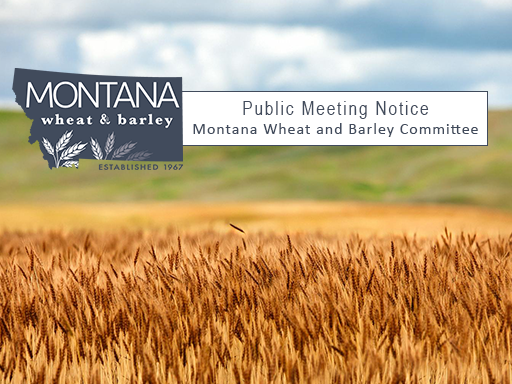 Field of wheat with sunset backdrop with text overlay announcement