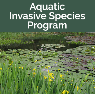 Aquatic Invasive Species Program