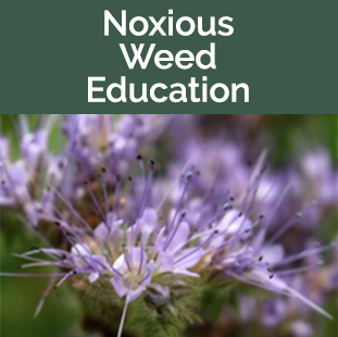 Noxious Weed Education