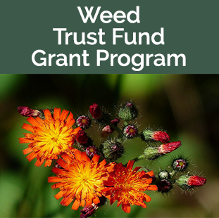 Noxious Weed Trust Fund Grant Program