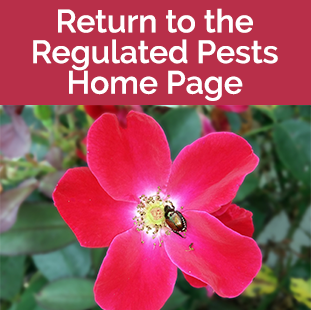 Return Regulated Pests