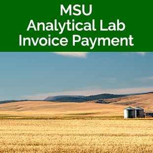 MSU Analytical Lab Invoice Payment
