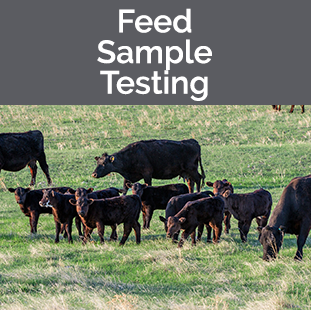 Feed Sample Testing