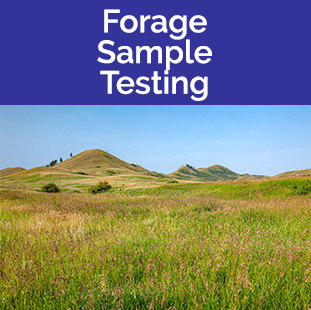 Forage Sample Testing