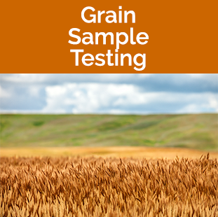 Grain Sample Testing