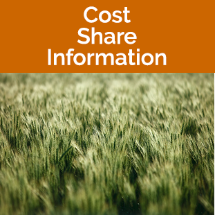 Cost Share Information