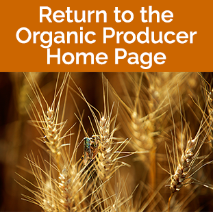 Organic return to Organics producer home tile - wheat stalks