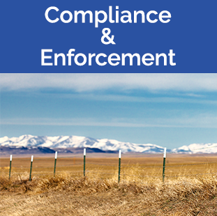 Compliance & Enforcement