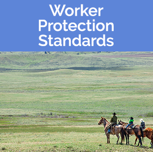 Worker Protection Standards tile