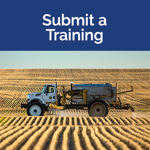 field with rows of plants