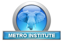 Metro Institute logo - blue elephant head