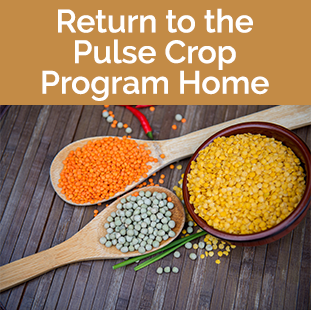 Return to Pulse Crop Program