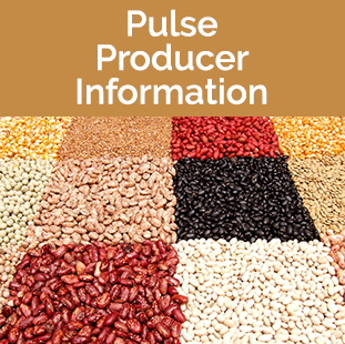 Pulse Producers Information