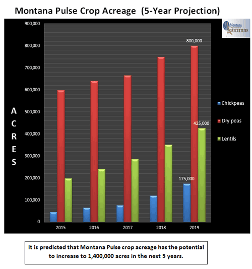 The 5-year pulse crop projection chart for Montana. If you require accommodation, please contact agrcsdit@mt.gov.