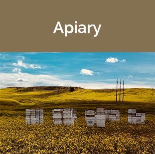 Apiary Registrations