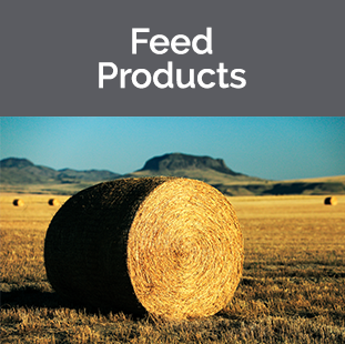 Feed Products Registrations