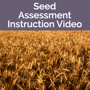 Seed Assessment Instructional Video