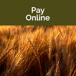 Wheat with Pay online