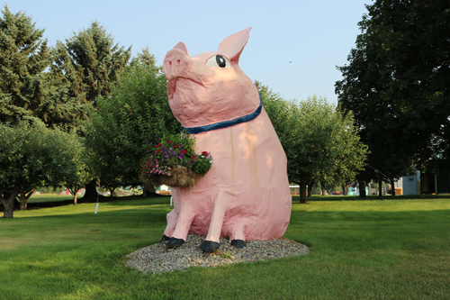 Farm to Market Big Pink Pig statue
