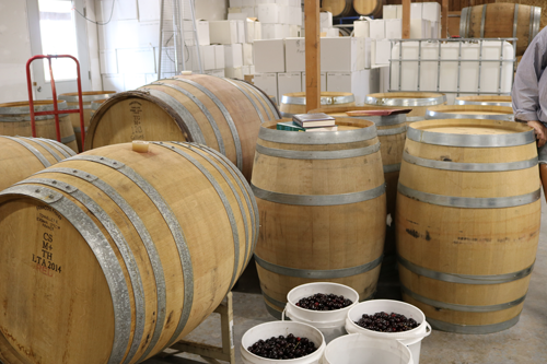 Whisky Barrels and buckets of cherries