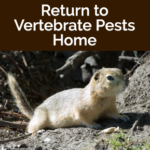 Return to Vertebrate Pests Home
