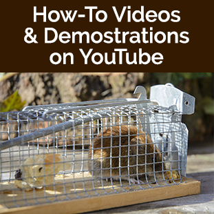 How to Videos and Demonstrations