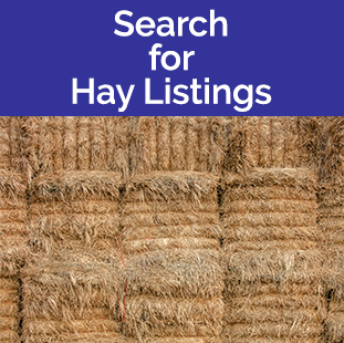 Search for Hay Listings