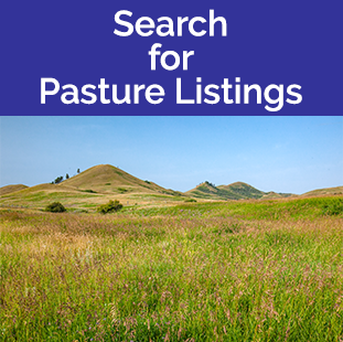 Search for Pasture Listings