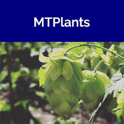 MTplants Information