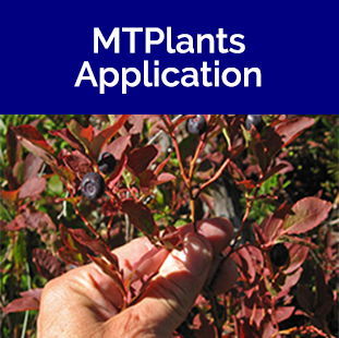 MTPlants Application