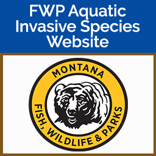 Fish Wildlife and Parks Aquatic tile - FWP logo round with bear