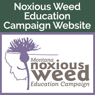 NW Education Campaign website tile - nw education logo state map with thistle