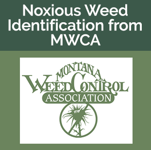 Weed-Control-Association-tile.png